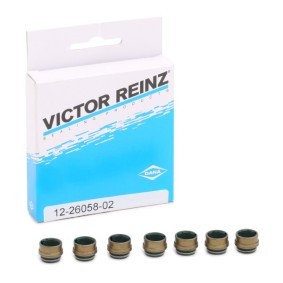 Comprar Juego de juntas, vástago de válvula de REINZ 12-26058-02 a bajo precio de 6,94 €