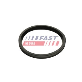 Acquista Anello tenuta, Flessibile aria alimentazione da FAST FT48947 a buon mercato per soli 7,41 €