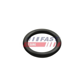 Ansaugkrümmerdichtung FT49426 CITROËN C1 von FAST