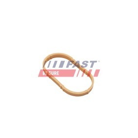 Acquista Guarnizione, Collettore aspirazione da FAST FT49461 a buon mercato per soli 5,28 €