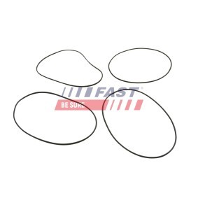 Achetez des Bouchon de dilatation FAST FT50801 à prix pour 2,36 €