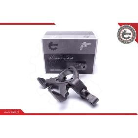 Compre Manga de eixo, suspensão da ESEN SKV 47SKV542 a um preço baixo por 105,09 €