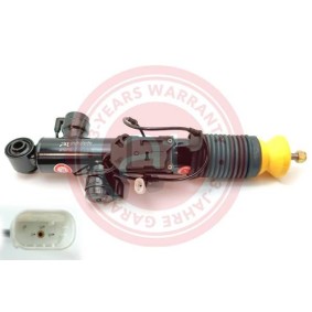 Acquista Ammortizzatore da at autoteile germany at13710 a buon mercato per soli 961,15 €