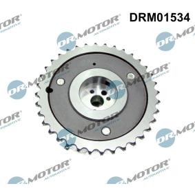 Acquista Regolatore albero a camme da DR.MOTOR AUTOMOTIVE DRM01534 a buon mercato per soli 266,82 €