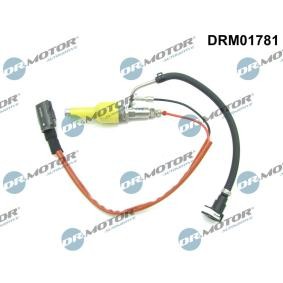 Acquista Gruppo iniettori, Rigenerazione filtro antipart. / particellar da DR.MOTOR AUTOMOTIVE DRM01781 a buon mercato per soli 132,19 €