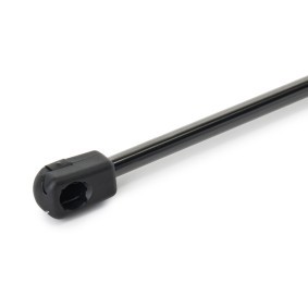 Compre Amortecedor da mala da RIDEX 219G1325 a um preço baixo por 12,76 €
