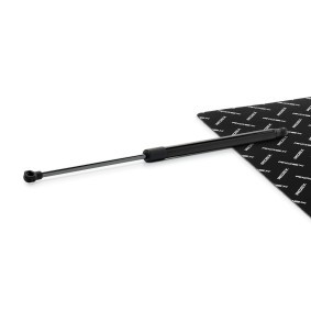 Heckklappendämpfer 219G1327 von RIDEX günstig für 10,46 € online kaufen