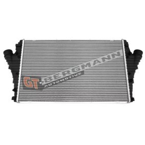 Kjøp Intercooler av GT-BERGMANN GT12-024 til den lave prisen 2146,87 NOK