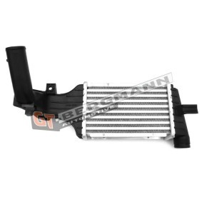 Acquista Intercooler da GT-BERGMANN GT12-025 a buon mercato per soli 58,05 €