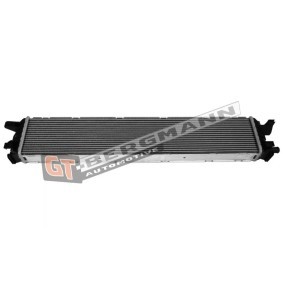 Acquista Radiatore bassa temperatura, Intercooler da GT-BERGMANN GT12-031 a buon mercato per soli 87,36 €