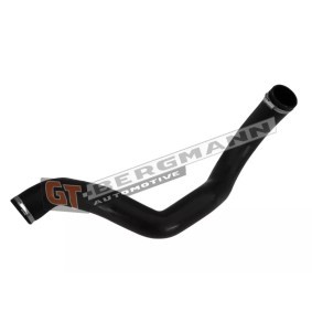 Acquista Flessibile aria alimentazione da GT-BERGMANN GT52-163 a buon mercato per soli 68,63 €