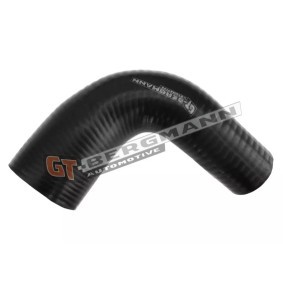 Acquista Tubo intercooler da GT-BERGMANN online per Freelander SUV (L314) a prezzi moderati