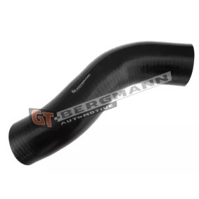 Acquista Flessibile aria alimentazione da GT-BERGMANN GT52-302 a buon mercato per soli 40,89 €