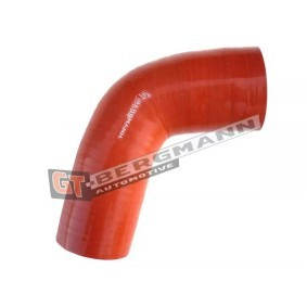 Acquista Tubo intercooler da GT-BERGMANN online per Freelander 2 Van (L359) a prezzi moderati