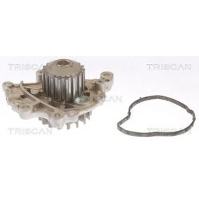 Köp Vattenpump av TRISCAN 8600 10089 till det låga priset 745,14 kr