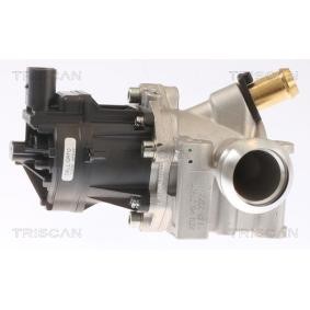 Acquista Valvola EGR da TRISCAN 8813 15076 a buon mercato per soli 327,97 €