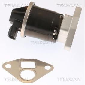 Acquista Valvola EGR da TRISCAN 8813 40003 a buon mercato per soli 121,70 €