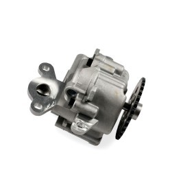 Achetez des Pompe à huile GK 705529 à prix pour 109,42 €