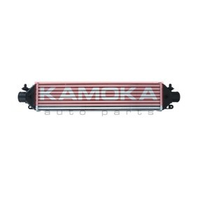 Acquista Intercooler da KAMOKA 7750035 a buon mercato per soli 104,08 €