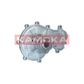 Acquista Pompa acqua da KAMOKA T0317 a buon mercato per soli 39,28 €