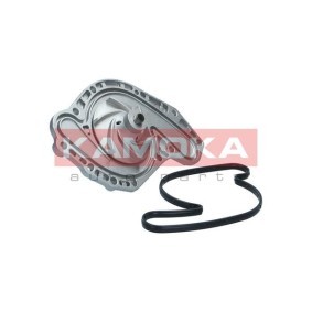 Achetez des Pompe à eau KAMOKA T0321 à prix pour 48,67 €