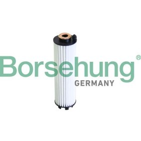 Køb Oliefilter af Borsehung B12289 til den lave pris 110,09 DKK
