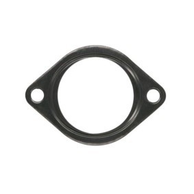 Acquista Guarnizione, Tubo gas scarico da LEMA 21650.17 a buon mercato per soli 4,75 €