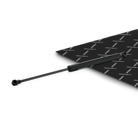Compre Amortecedor da mala da RIDEX 219G1422 a um preço baixo por 15,94 €