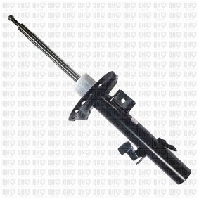 Stoßdämpfer QAG181570 für LAND ROVER