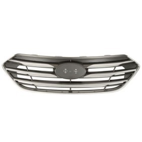 Compre Grelha de radiador da BLIC 6502-07-3182995P a um preço baixo por 265,10 €