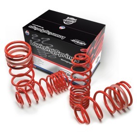 Fahrwerksatz, Federn IA 16222 für MINI