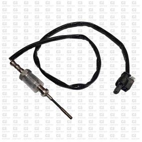 Abgastemperatursensor XEPS158 für MINI