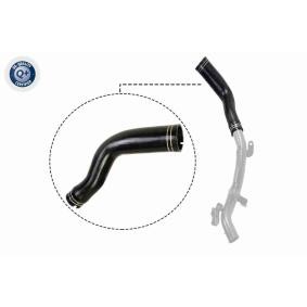 Acquista Tenditore cinghia servizi da VAICO V10-5597 a buon mercato per soli 302,37 €
