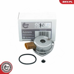 Acquista Magnete centrale, Regolazione albero a camme da ESEN SKV 39SKV901 a buon mercato per soli 50,29 €