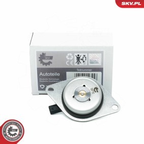 Acquista Magnete centrale, Regolazione albero a camme da ESEN SKV 39SKV902 a buon mercato per soli 53,78 €