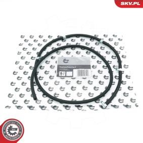 Compre Rampa de injeção de ESEN SKV online para Classe E Camião de plataforma / Chassis (VF210) a preços moderados