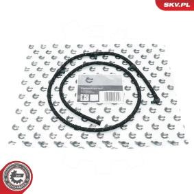 Achetez des Tuyau, carburant de fuite ESEN SKV 54SKV293 à prix pour 20,10 €