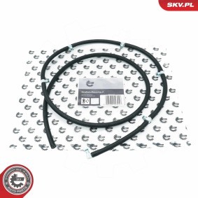 Compre Rampa de injeção de ESEN SKV online para Classe S Sedan (W220) a preços moderados