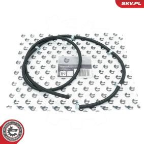 Compre Rampa de injeção de ESEN SKV online para Classe E Camião de plataforma / Chassis (VF210) a preços moderados