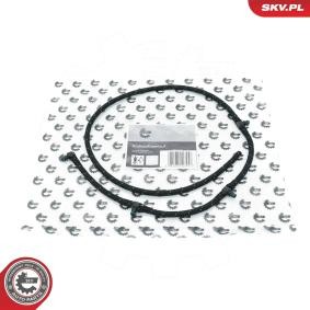Achetez des Tuyau, carburant de fuite ESEN SKV 54SKV381 à prix pour 23,06 €