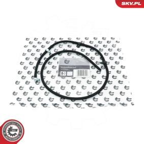 Compre Tubo flexível, combustível de fuga da ESEN SKV 54SKV387 a um preço baixo por 39,99 €