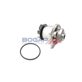 Achetez des Pompe à eau BOGAP A4234141 à prix pour 31,25 €
