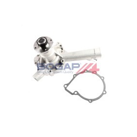 Compre Bomba de água da BOGAP C4234151 a um preço baixo por 71,55 €
