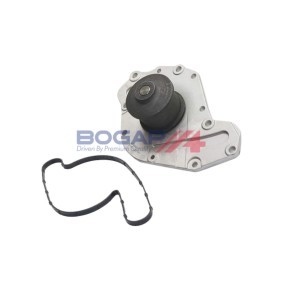 Achetez des Pompe à eau BOGAP W4234104 à prix pour 51,65 €