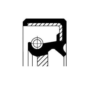 Acquista Paraolio. Pompa olio da CORTECO 19016630B a buon mercato per soli 3,19 €