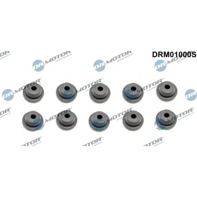Osta Rajoitin, moottorikoppa DR.MOTOR AUTOMOTIVE:llä DRM01000S edullisesti hintaan 15,74 €