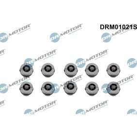 Osta Rajoitin, moottorikoppa DR.MOTOR AUTOMOTIVE:llä DRM01021S edullisesti hintaan 32,14 €