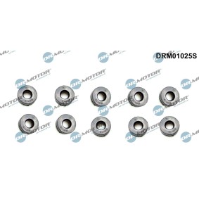Osta Rajoitin, moottorikoppa DR.MOTOR AUTOMOTIVE:llä DRM01025S edullisesti hintaan 12,84 €