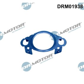 Acquista Guarnizione, Condotto valvola-AGR da DR.MOTOR AUTOMOTIVE DRM01938 a buon mercato per soli 10,14 €