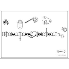 Comprar Latiguillo de freno de CORTECO 19032246 a bajo precio de 27,05 €